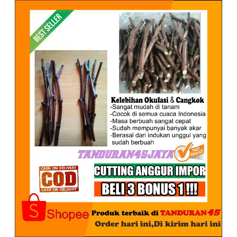 paket 2 pcs cutting anggur import sisip carnival
