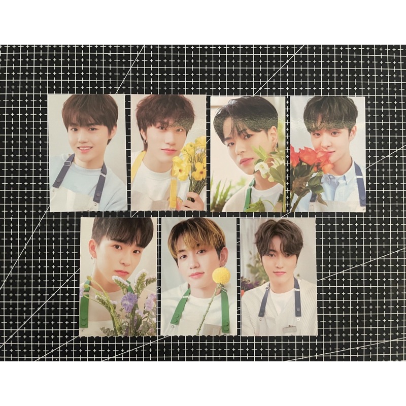 WTS BINDER BLOOMING TREASURE PC