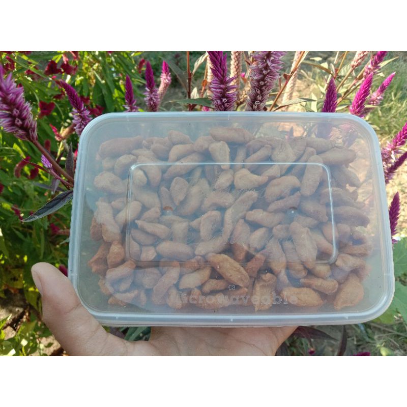 

Pilus (Biji Ketapang)