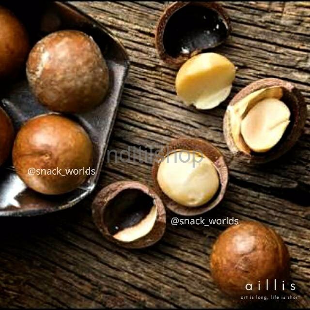 

Macadamia Nuts in shell ( kacang macadamia kulit ) matang grosir murah