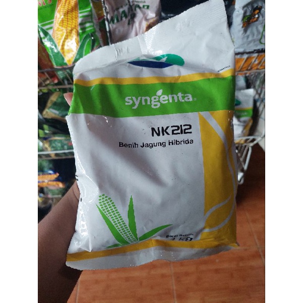 Benih Jagung NK 212 SYNGENTA