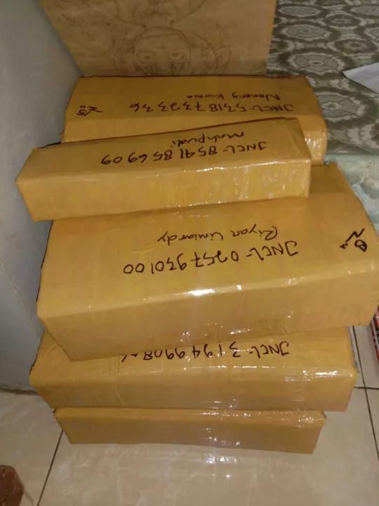 bunga anggrek Dendrobium dewasa-Tanaman hias anggrek kuning-dendro- Tanaman Hidup+Bunga Hidup Murah