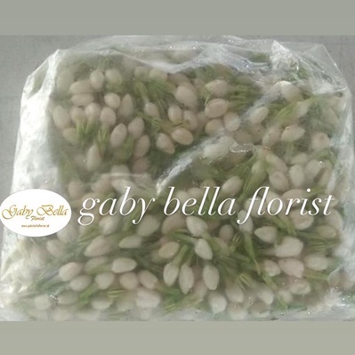 Bunga melati. Bunga tabur melati. Melati fresh. Hiasan melati
