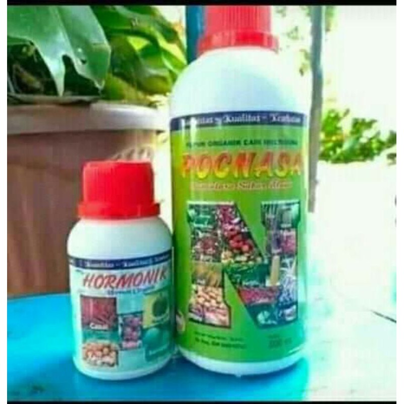 poc nasa hormonik subur