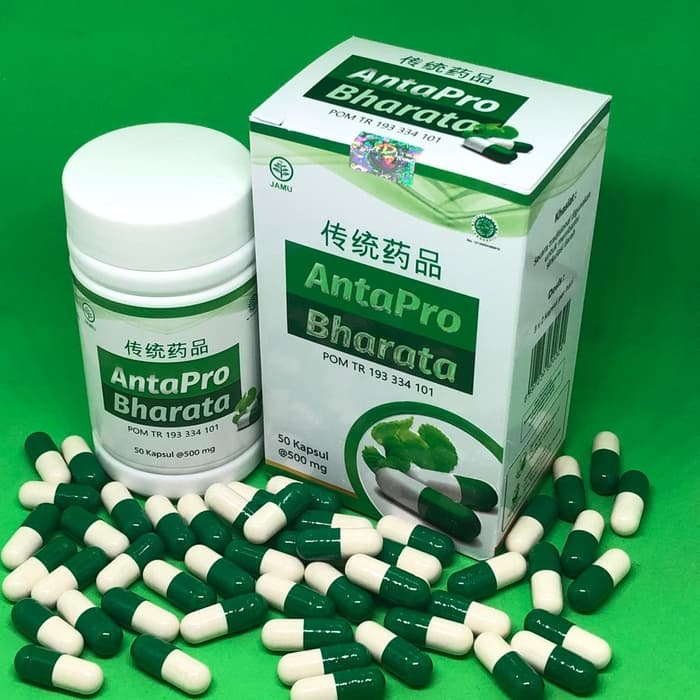 Bharata Antapro Obat Stroke Herbal Asli 100% Original