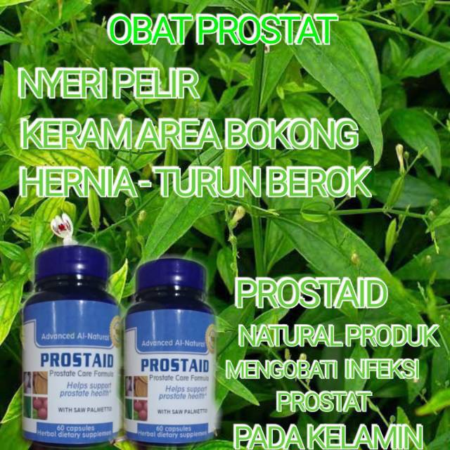 Obat Prostat Paling Ampuh Prostaid Cara Mengobati Penyakit Prostat Secara Alami Tanpa Operasi Shopee Indonesia