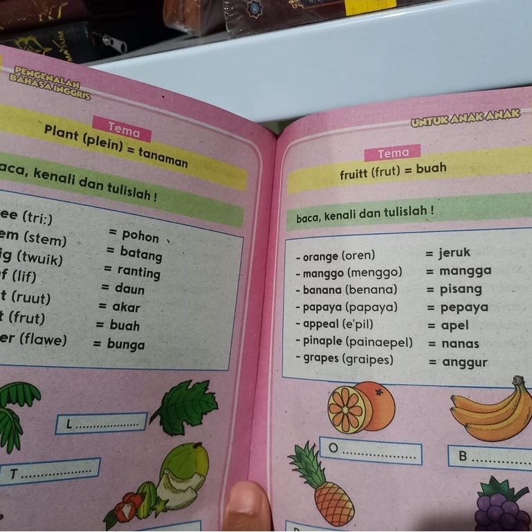 Buku Pengenalan Bahasa Inggris 1 dan 2 PAH (Warna)