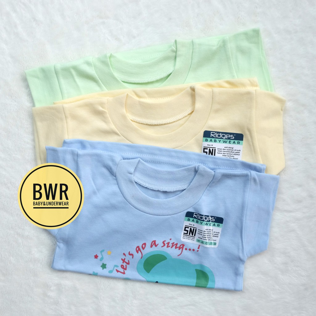 Kaos Oblong Ridges PRINT Gambar Tengah [ IV E6 - H6 ] Kaos Anak Warna Sablon