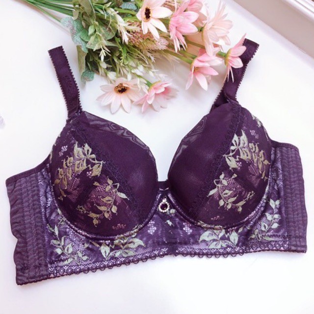 Bra (K-A15)/ Pakaian dalam wanita penutup lemak / kait 4 / kode 5569