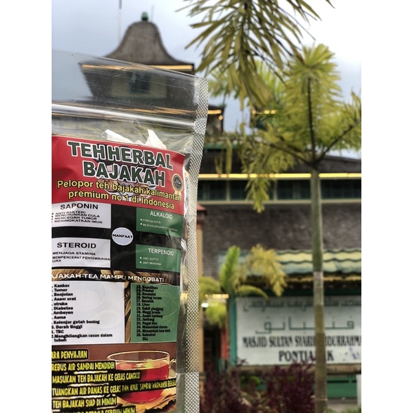 

TEH CELUP BAJAKAH TERMURAH KALALAWIT MERAH ISI 15 ASLI KALIMANTAN ORIGINAL
