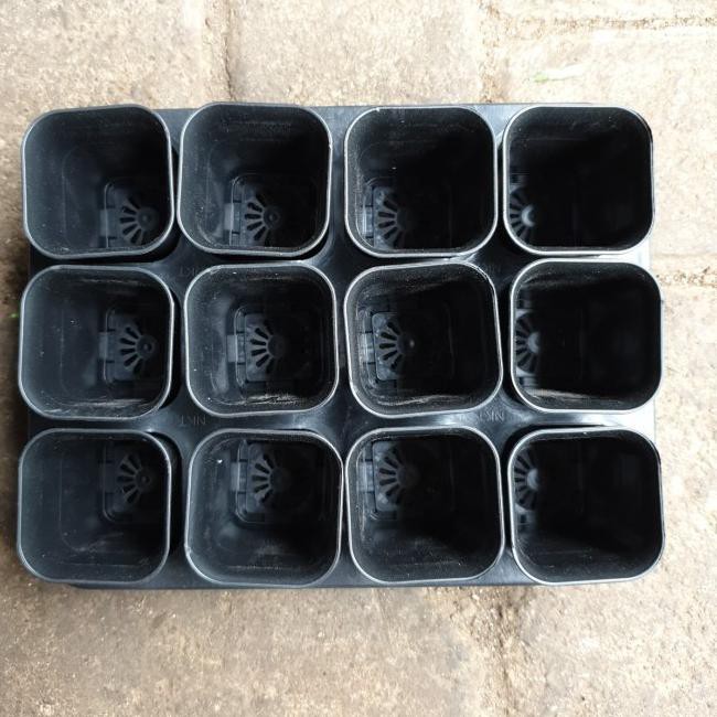 ✥ TRAY POT KOTAK 5 cm / TRYPOT KOTAK 5 cm ( DENGAN POT KOTAK 5 12 BH) ☺