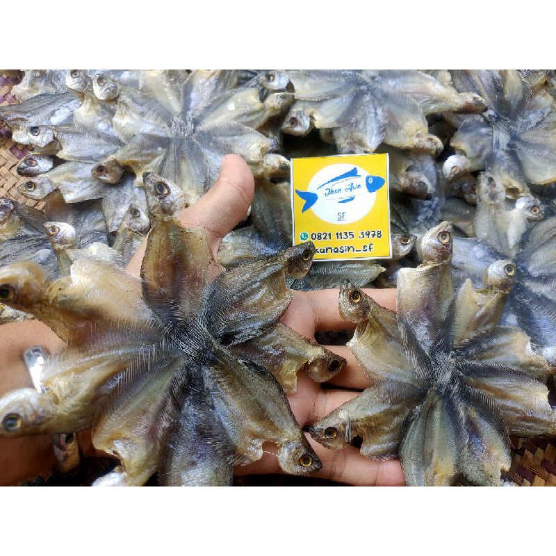 

Ikan asin sapat bintang