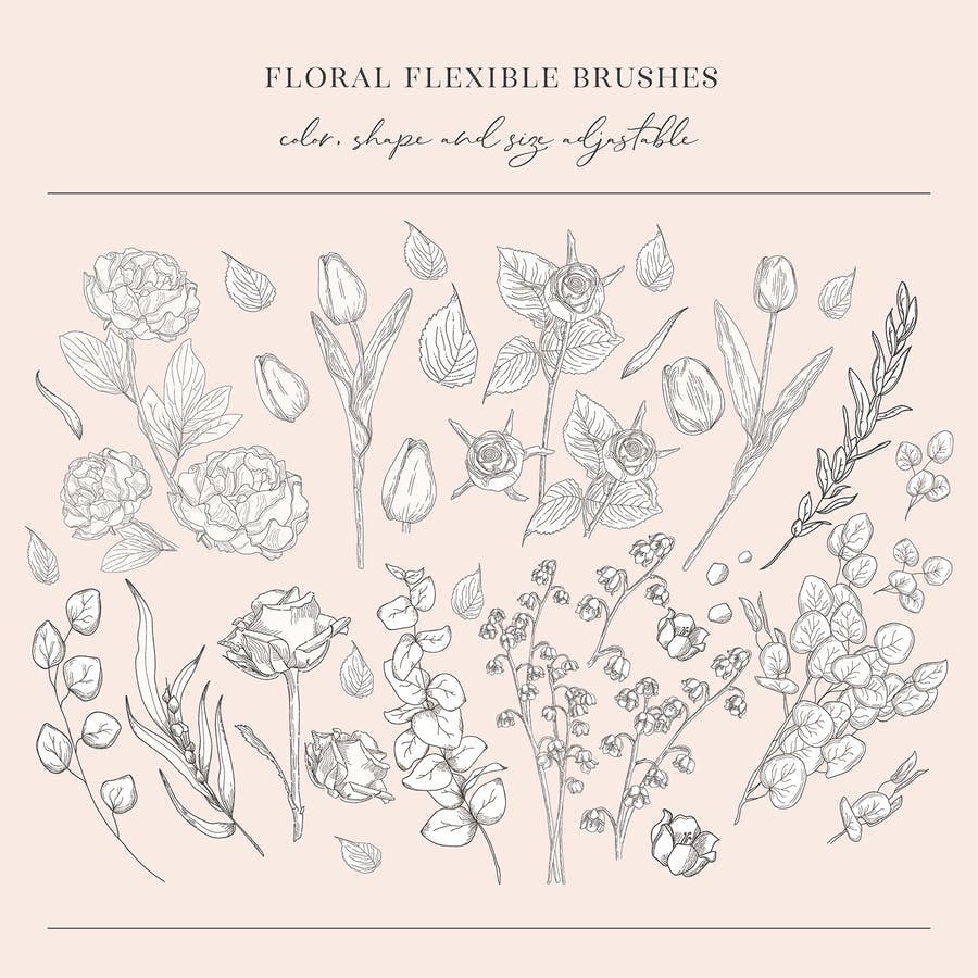Floral Flexible Illustrator Brushes