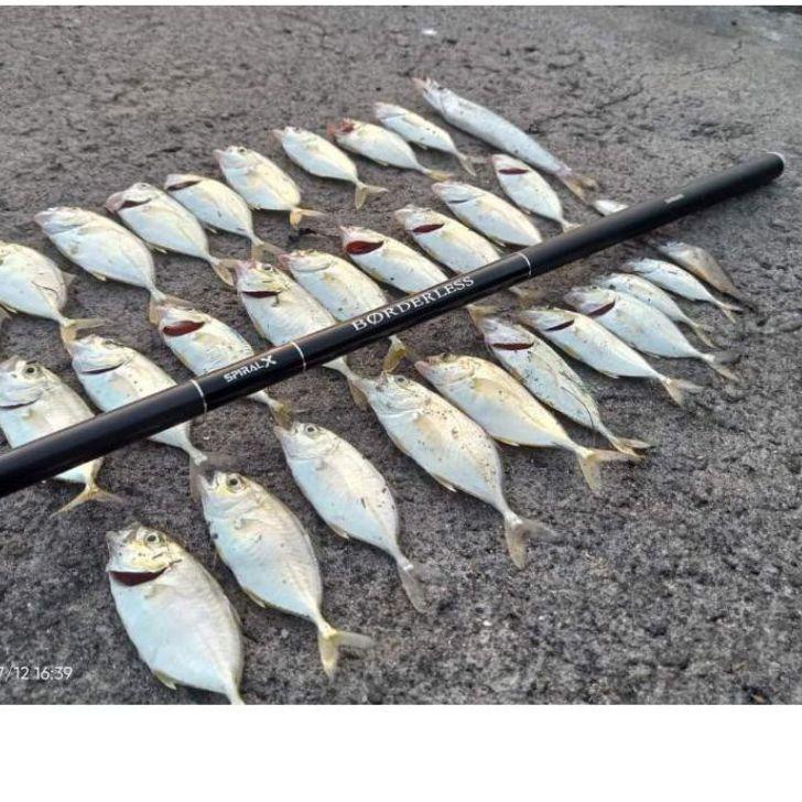 Koleksi Terbaru.. tegek SHIMANO BORDERLESS GLR