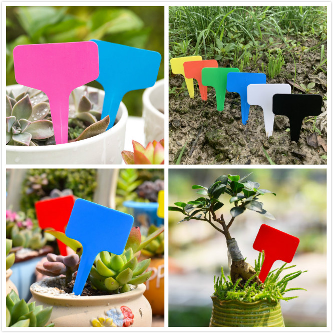 100Pcs Label Tanaman Bunga Tipe T Bahan Plastik Tebal Tahan Lama Anti Air