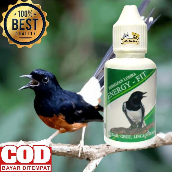 Energy- Fit obat gacor burung murai