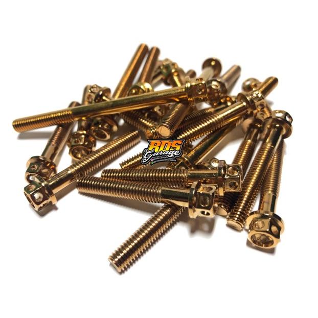 Probolt Tiger, Megapro, Gl