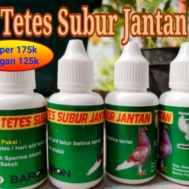 Tetes subur jantan super