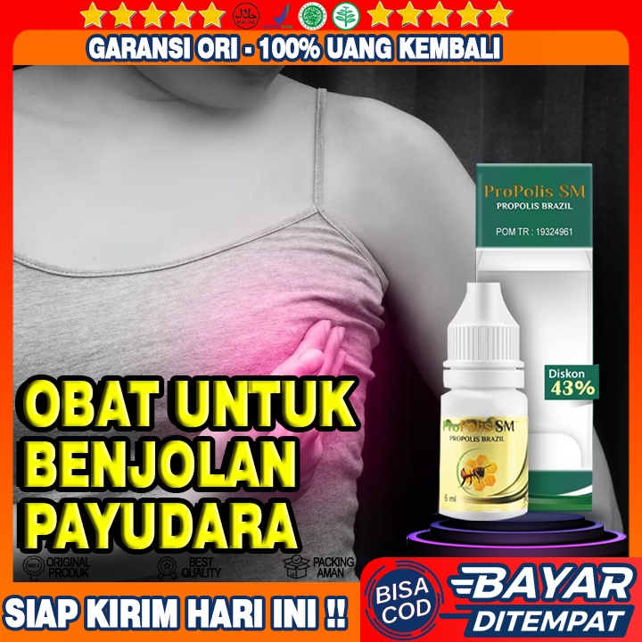 Obat Benjolan Payudara, Penghancur Benjolan Payudara, Tumor Payudara, Abses Payudara, Kista Payudara