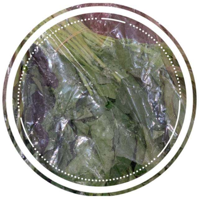

Sayur Kailan