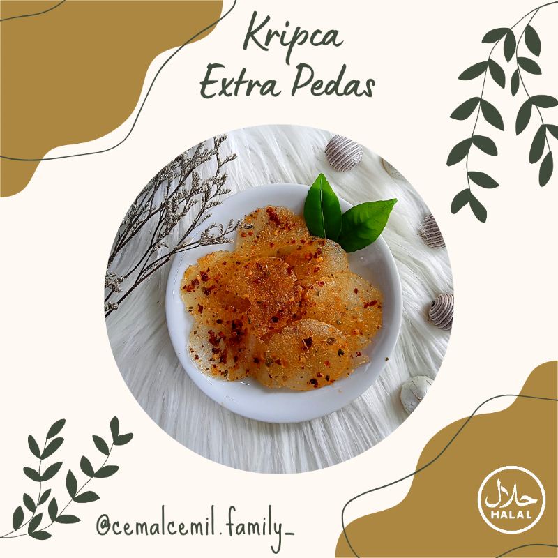

KRIPCA/KRIPIK KACA
