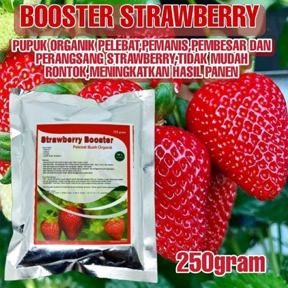Pupuk Strawberry Booster Organik Pelebat Perangsang Percepat Buah Strawberry 250gr