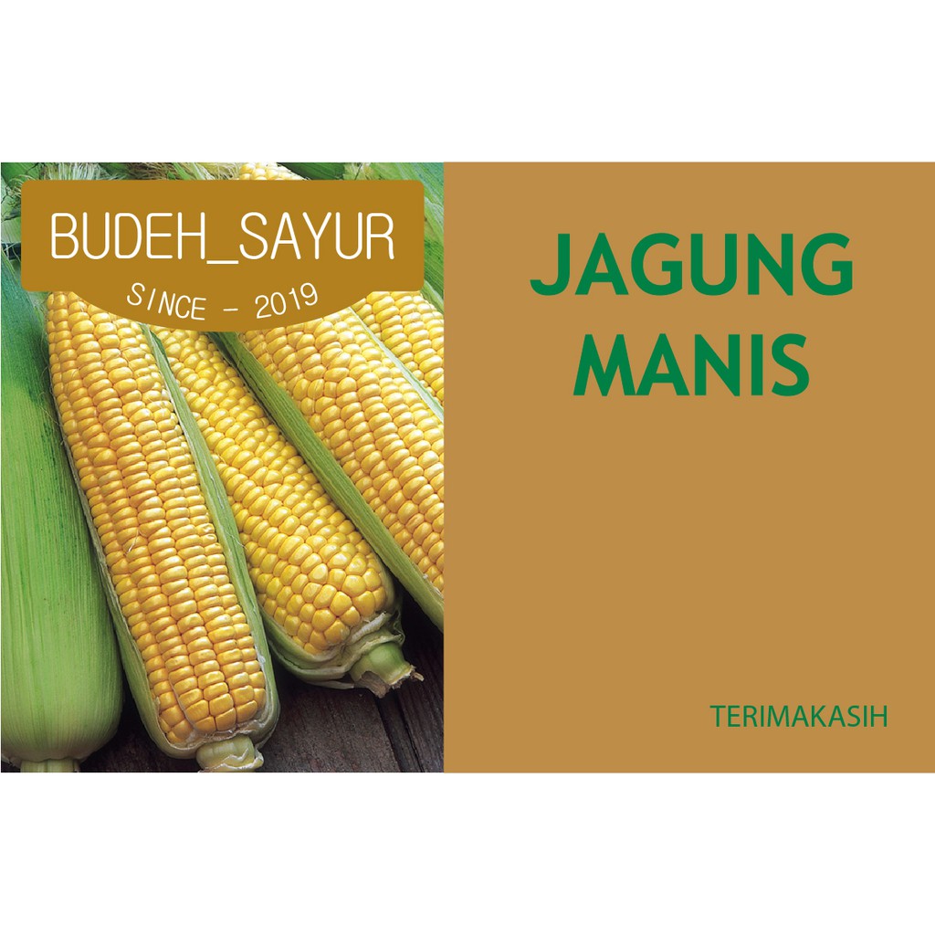 

Jagung Manis