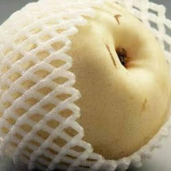 グ FOAM NET KECIL - FOAMNET BUNGKUS PIR BUNGKUS APEL-JARING BUAH BUSA BUAH POLINET POLYNET KEMASAN ➜