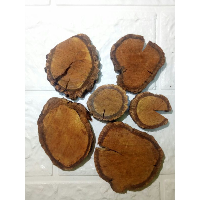 

Akar Bajakah Kalimantan (Tampala Super Kalimantan Barat, 250gr)