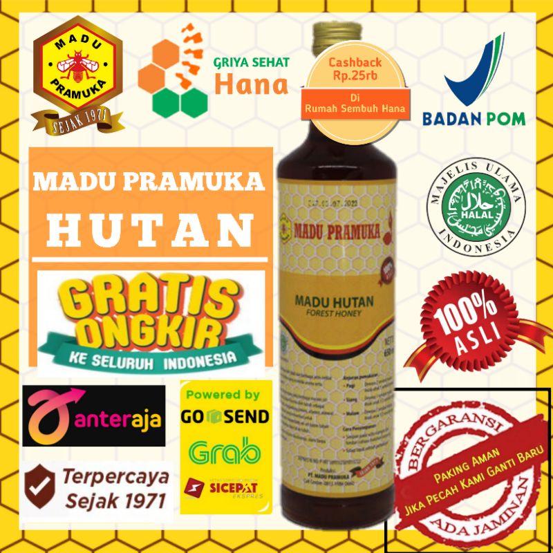 

Madu Pramuka Asli - Madu HUTAN 650ml