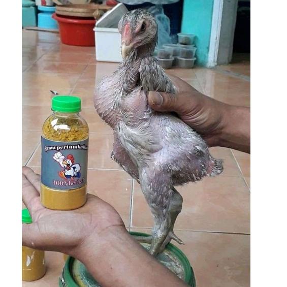 

Super Oke!! jamu pertumbuhan