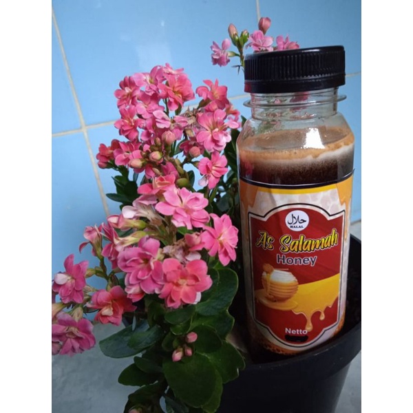 

Madu Hutan As Salamah