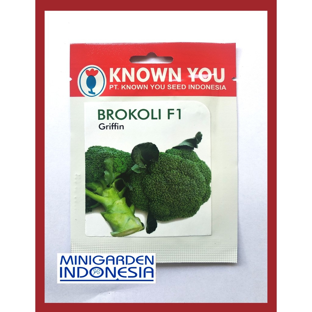 Pack 100 Benih Brokoli Hijau Griffin F1 Known You Seed Bibit Tanaman Sayuran Hidropnik Shopee Indonesia