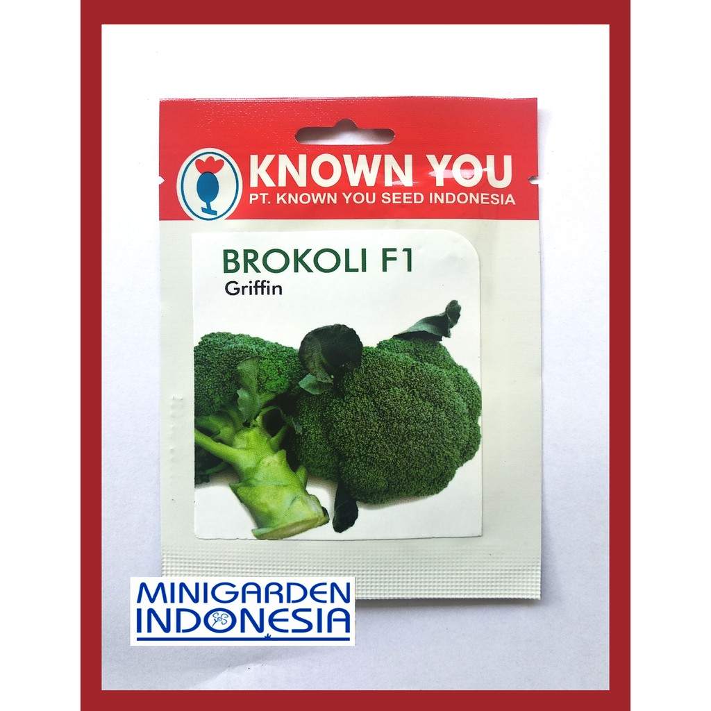 BROKOLI GRIFFIN 100 BIJI PACK KECIL benih Brokoli Hijau F1 unggul KNOWN YOU SEED Bibit Tanaman Sayuran Hidropnik