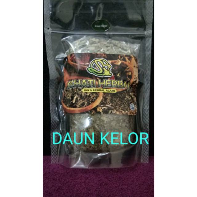 

Daun kelor kering