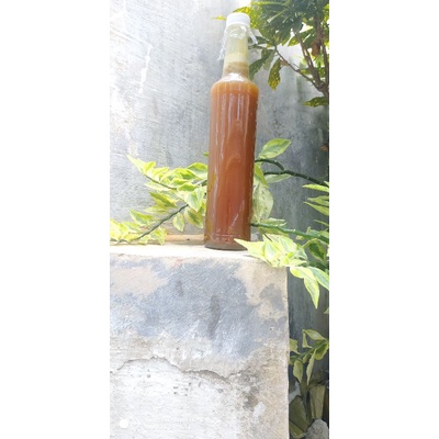 

madu murni lereng gunung penanggungan