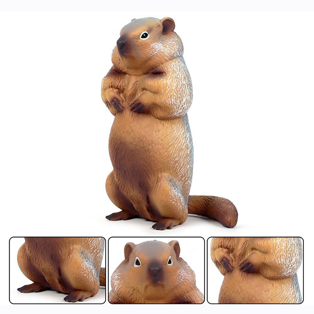 R-flower Mainan Simulasi Marmot Realistis Untuk Edukasi Dini Anak