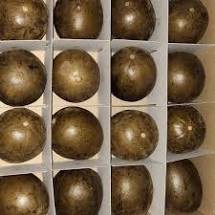 

buah lohankuo / lo han kuo / lohanguo anti panas dalam