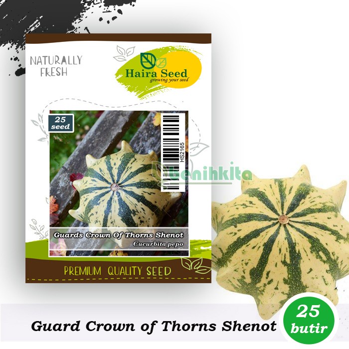 Benih-Bibit Labu Crown Of Thorn Shenot (Haira Seed)