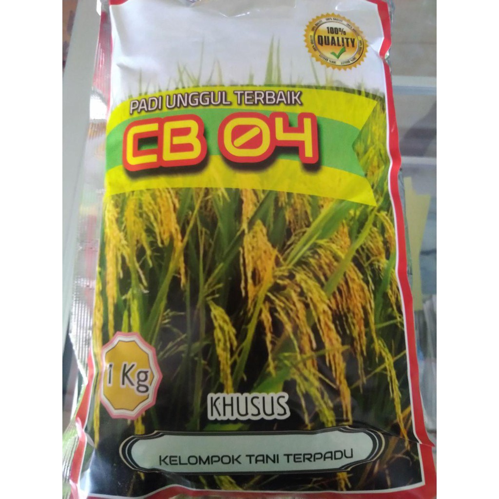 Terlaris Benih Padi CB04 CAKRABUANA