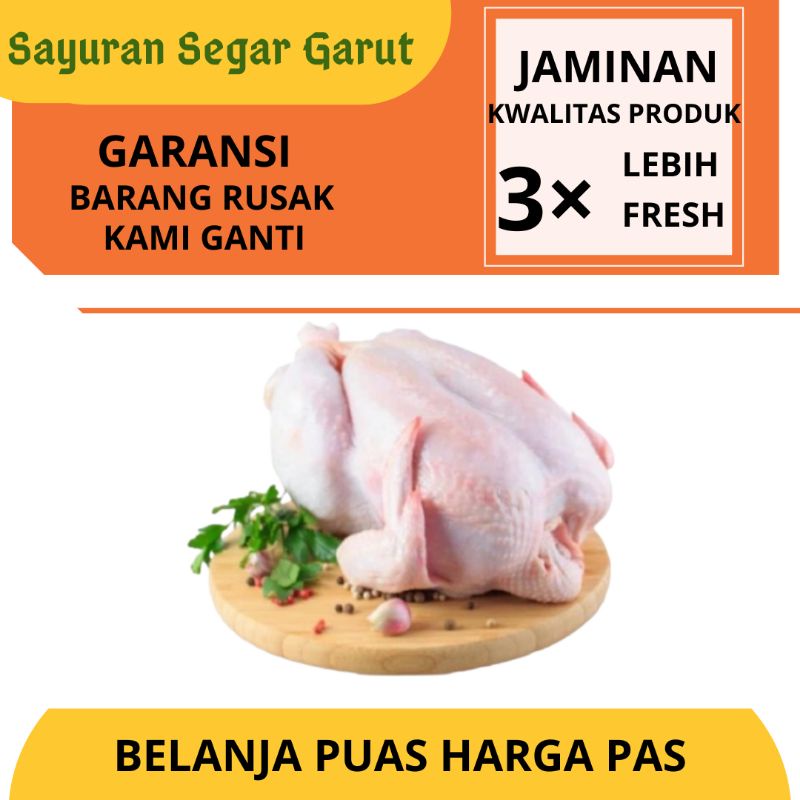

Ayam Boiler Utuh Daging Segar 1-1,1kg by Sayuran segar Garut