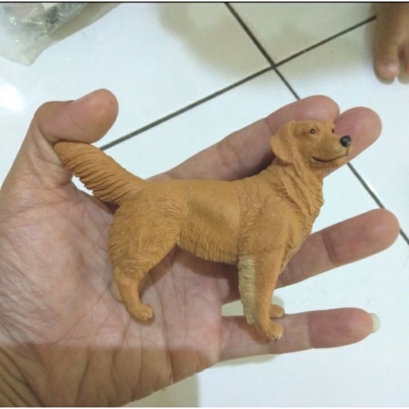 Miniatur Anjing Golden Retriever