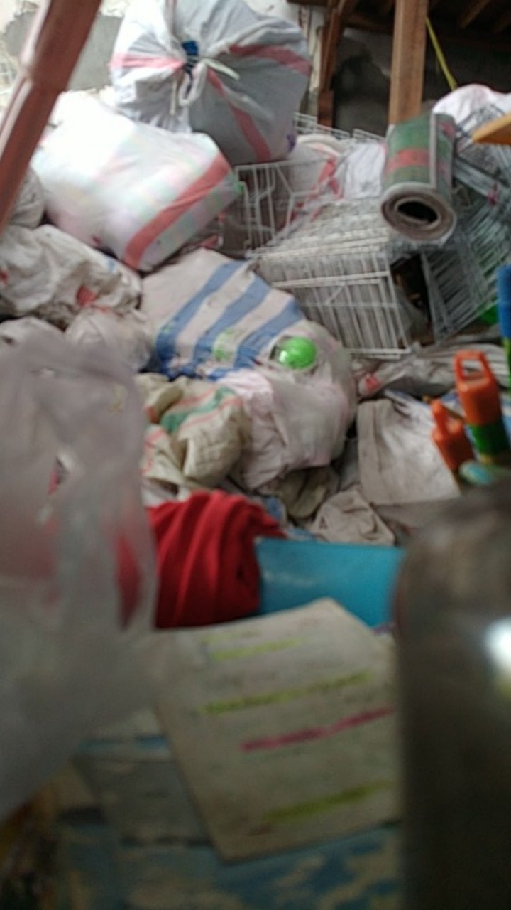 Perasan Jeruk Lemon Kecil Nipis Stainless Steel Pemeras