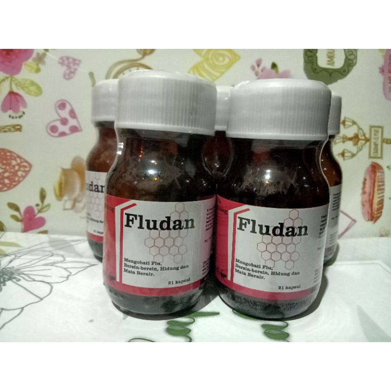 Fludan obat flu kucing