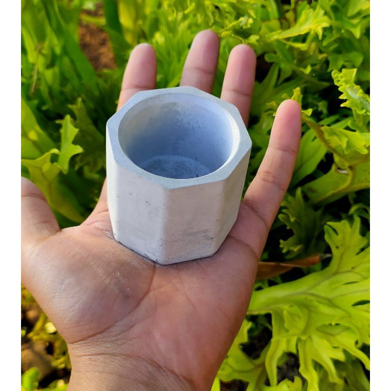Pot semen mini kaktus sukulen | bonsai | pot mame | dekorasi rumah | concrete pot