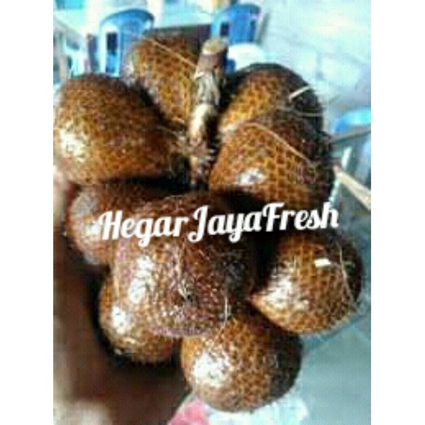 

salak pondoh 1kg