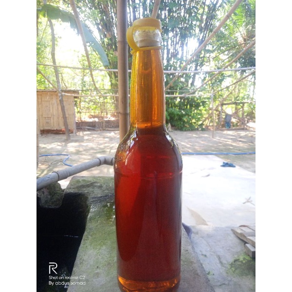 

madu murni asli apis melifera