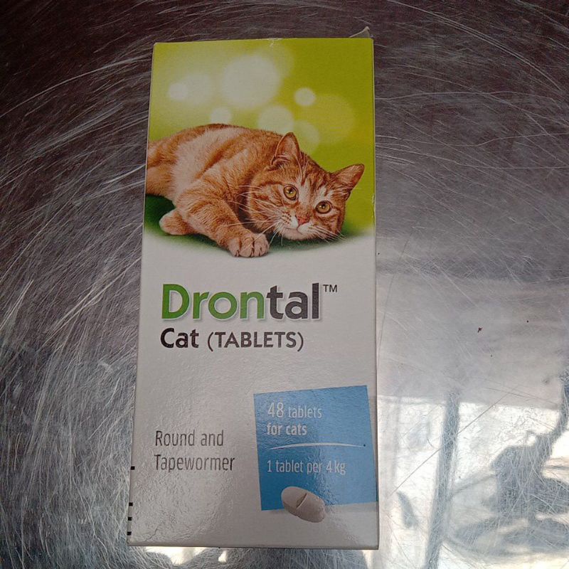 Obat cacing kucing murah drontal original