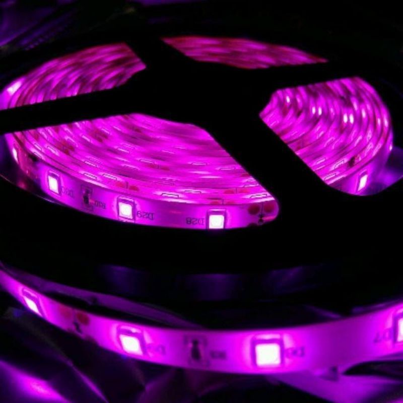 Lampu Led strip Pink ungu smd 3528 IP44 Pink waterproof 5m 12v Lampu hias Plafon