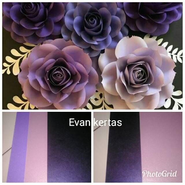 

Jasmine purple